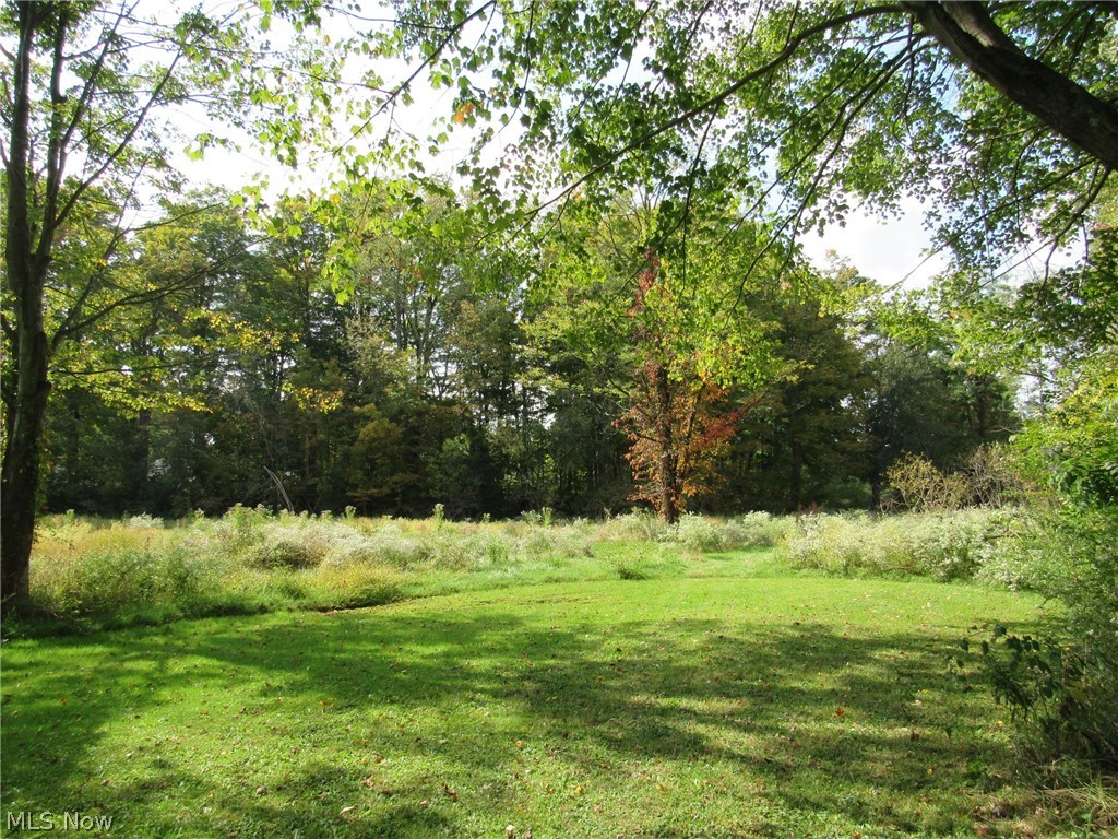 1575 Dodgeville Road Rome, OH 44085 - Photo 23 of 26 It's like having your own park with this meadow on the West side of the property. Bees and butterflies appreciate it too!