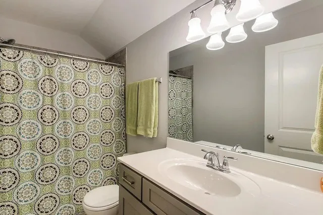 a bathroom with a sink a toilet a mirror a vanity and shower