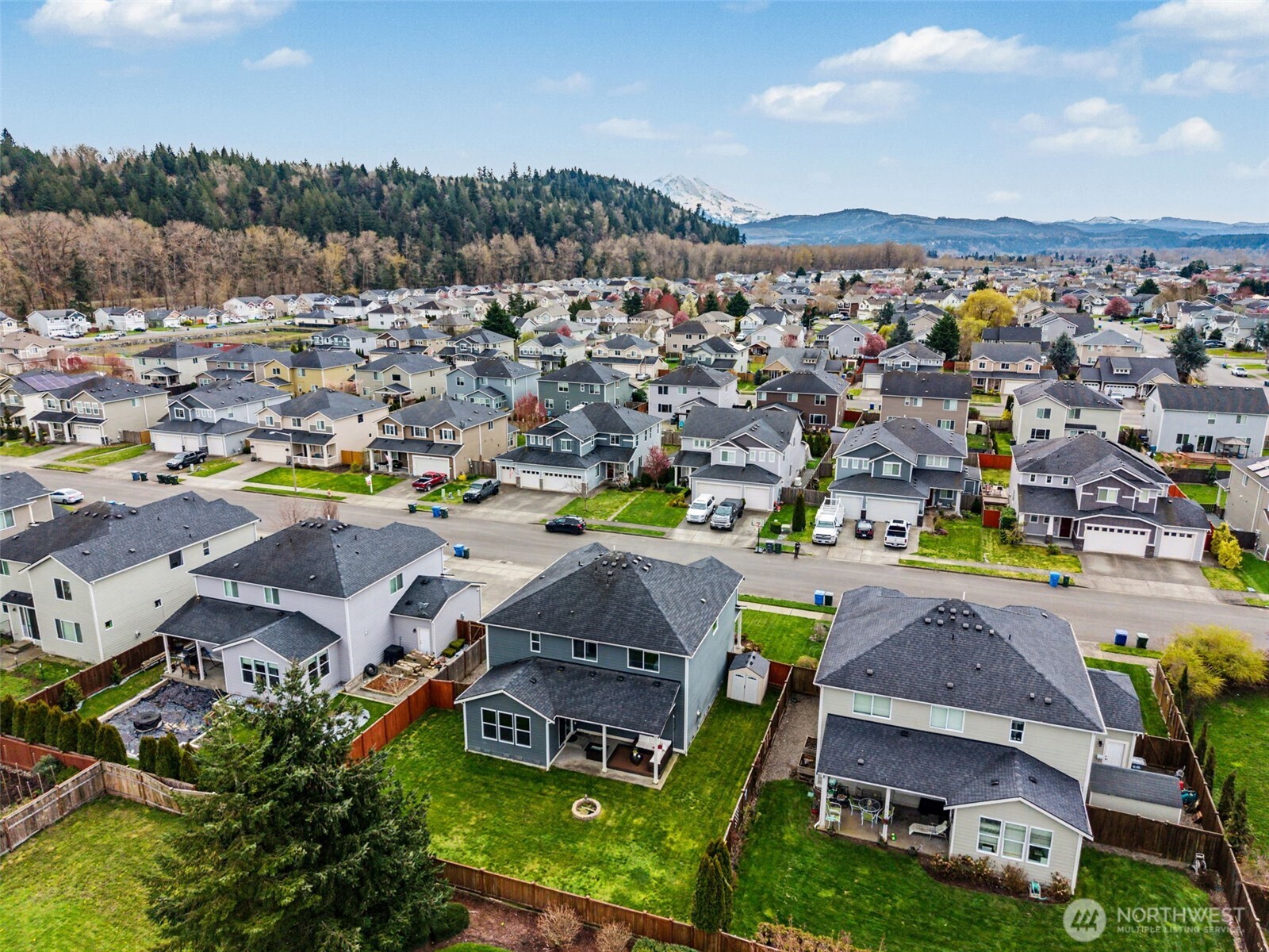 207 Fielding Street Northeast Orting, WA 98360 - Photo 37 of 37 a view of a city