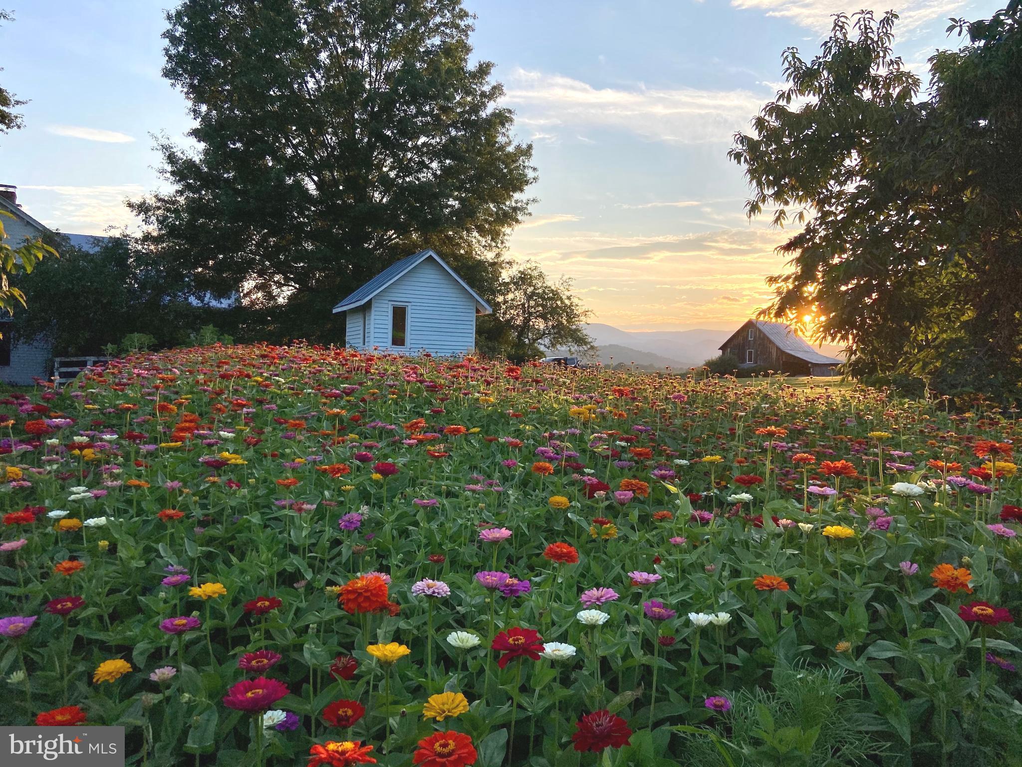 873 Hawlin Road Woodville, VA 22749 - Photo 15 of 45 a view of a house with a flower garden