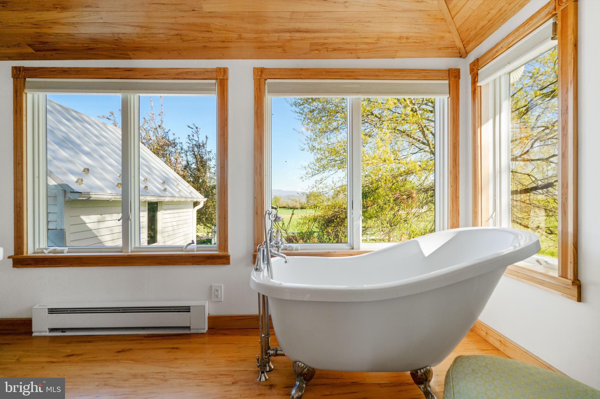 873 Hawlin Road Woodville, VA 22749 - Photo 26 of 45 a living room with a couch and a window