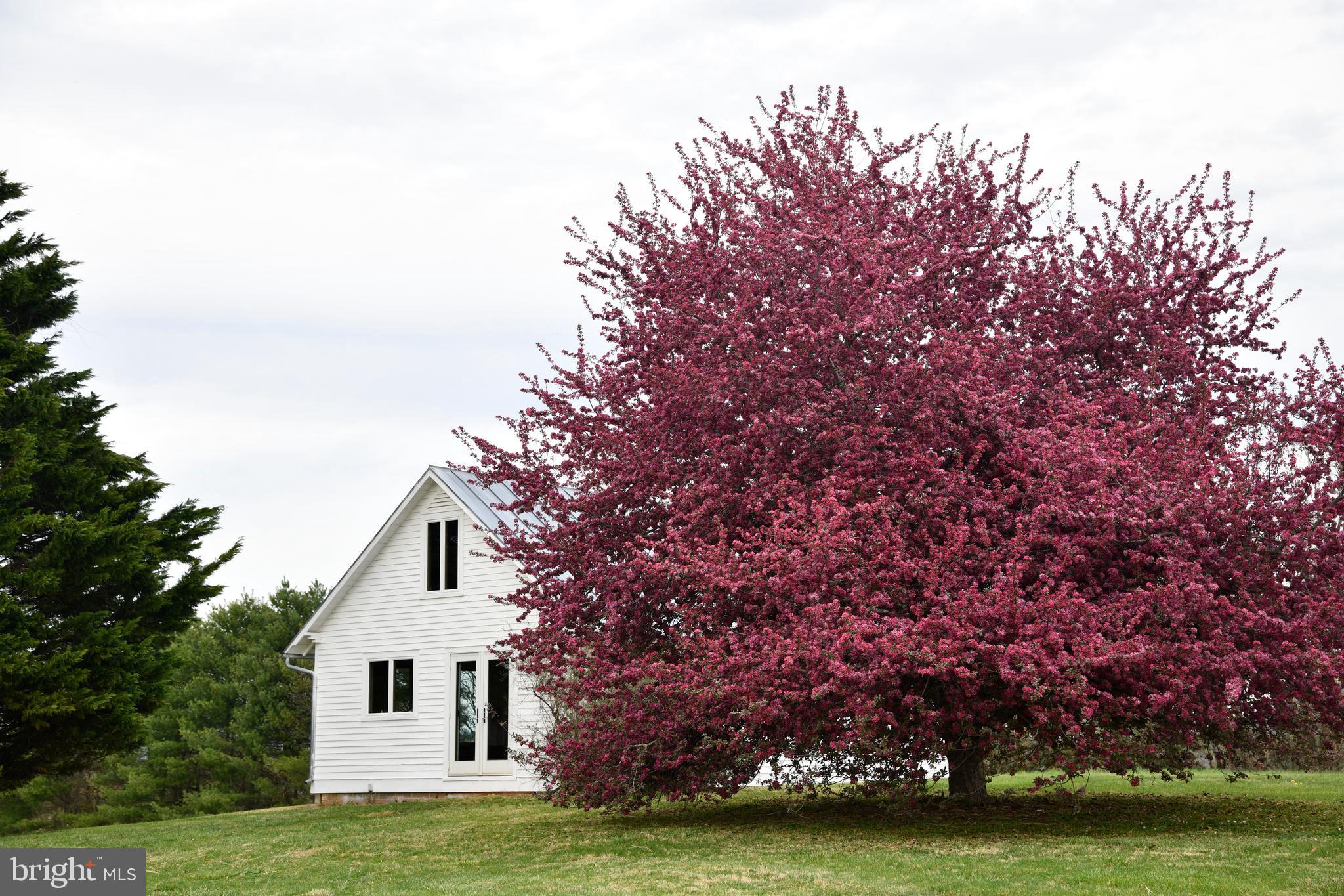 873 Hawlin Road Woodville, VA 22749 - Photo 38 of 45 a view of a house with a yard