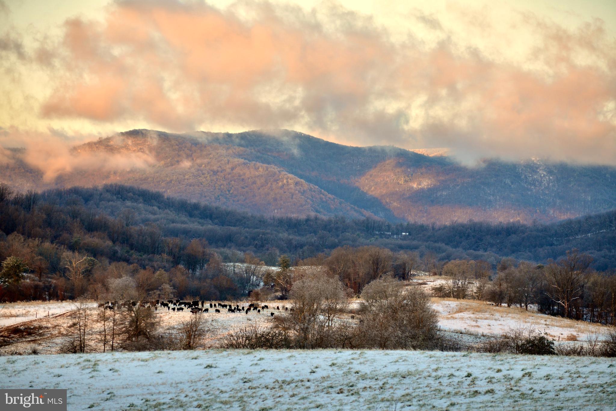 873 Hawlin Road Woodville, VA 22749 - Photo 41 of 45 a view of a dry yard
