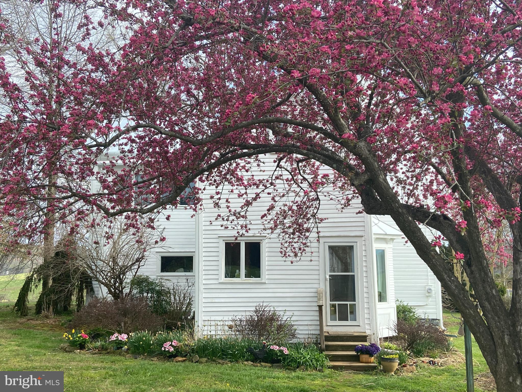 873 Hawlin Road Woodville, VA 22749 - Photo 42 of 45 a front view of a house with garden