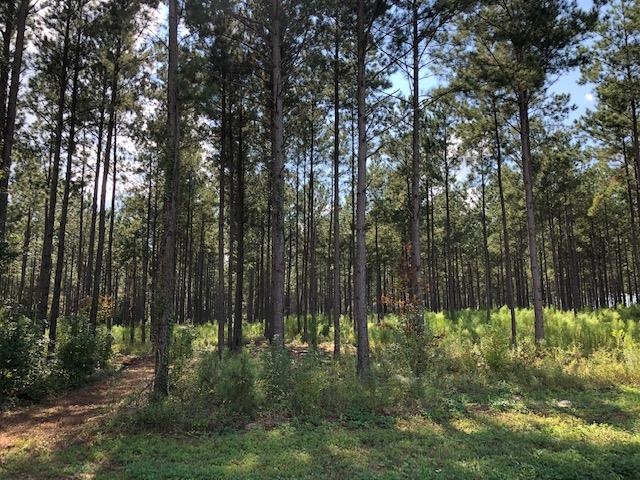 0 Barlow Road Cochran, GA 31014 - Photo 21 of 21