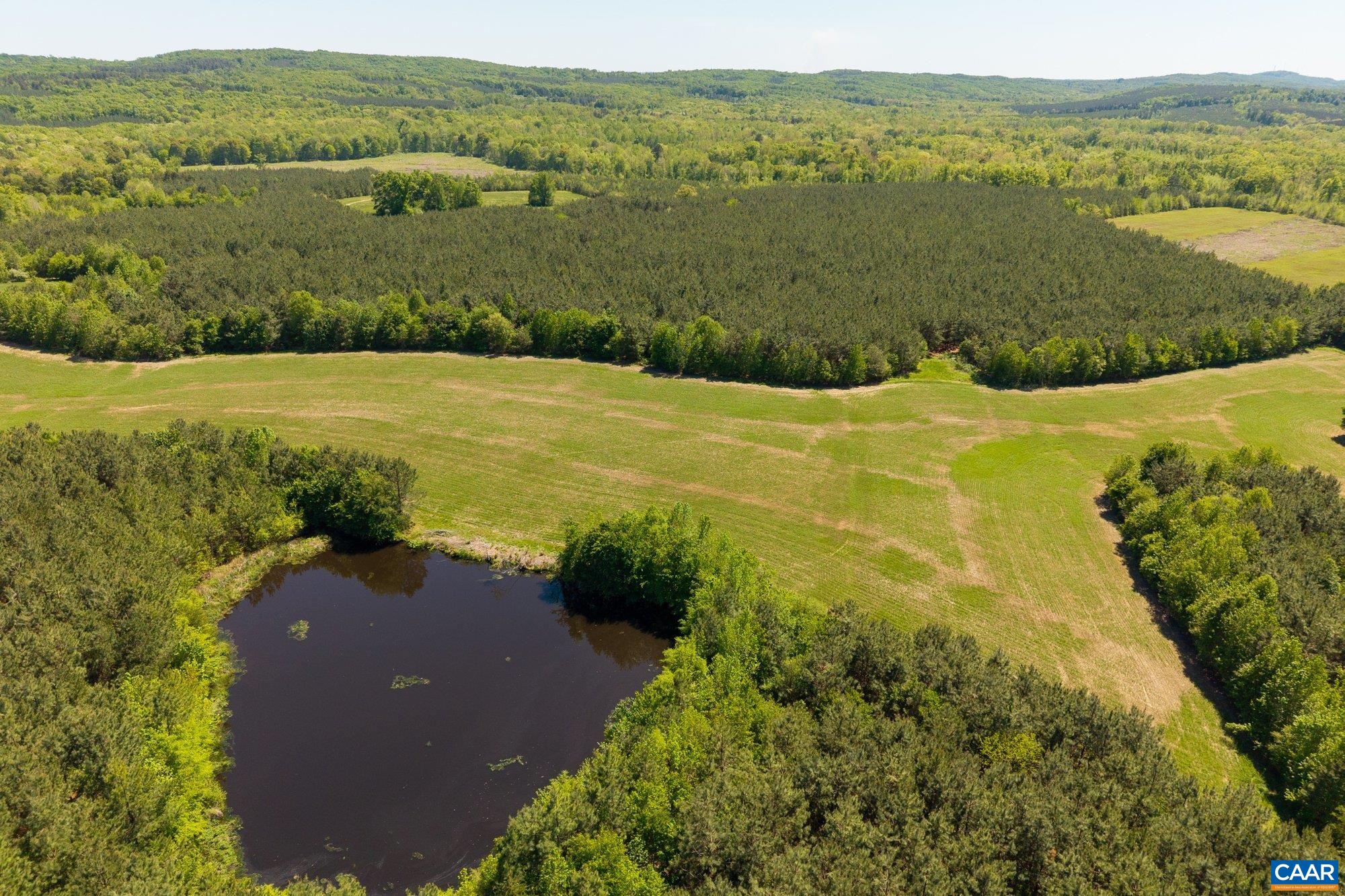 3644 Halifax Road Chatham, VA 24531 - Photo 3 of 5