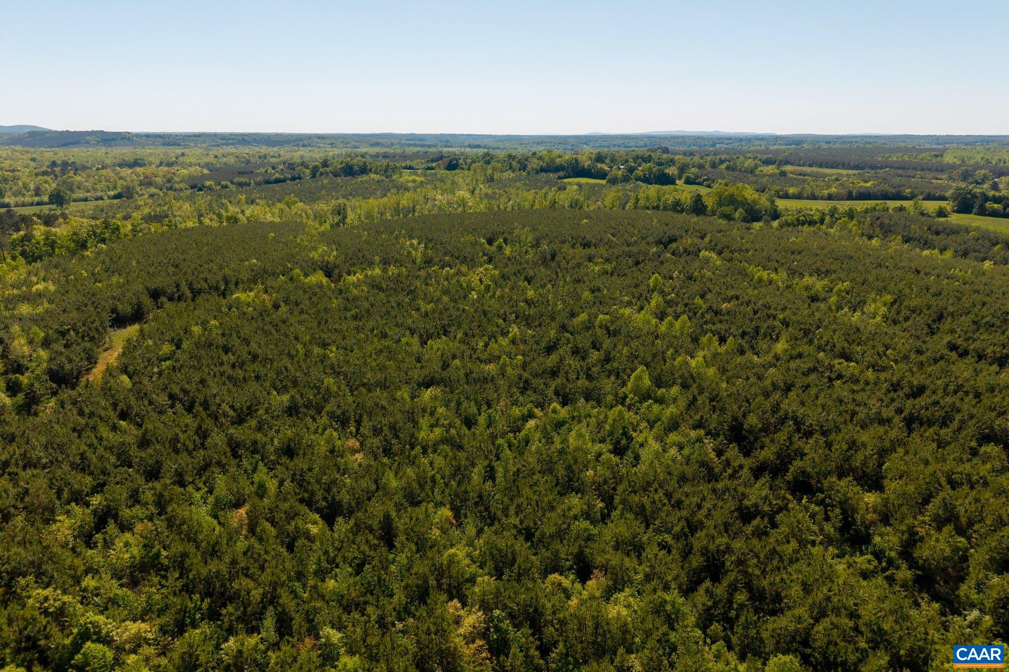 3644 Halifax Road Chatham, VA 24531 - Photo 4 of 5