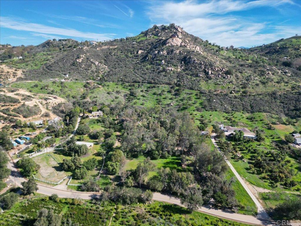 823 Rice Canyon Road Fallbrook, CA 92028 - Photo 28 of 30 a view of a forest with mountains in the background