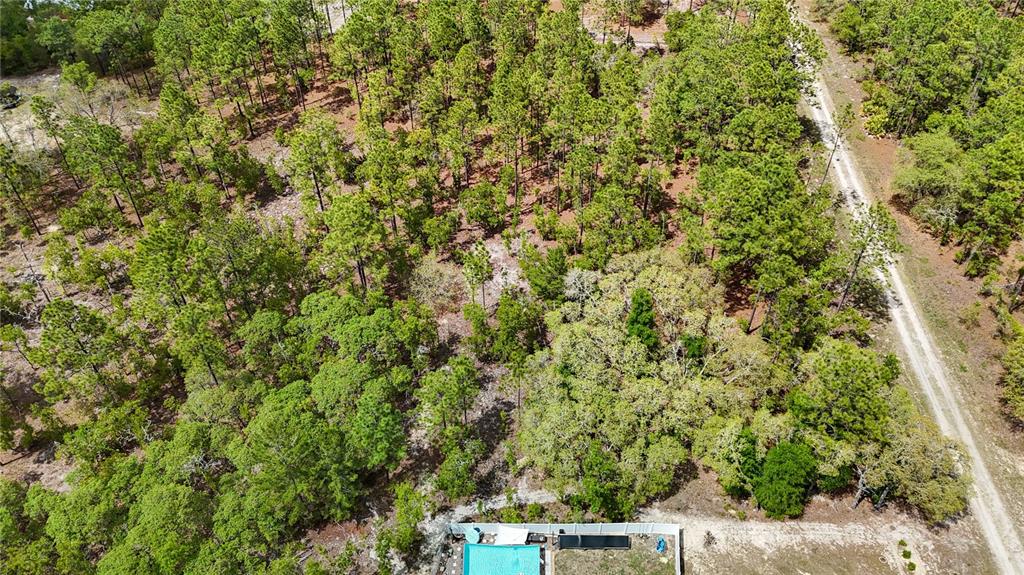 Tbd Southwest 137th Ct Road Dunnellon, FL 34432 - Photo 14 of 19