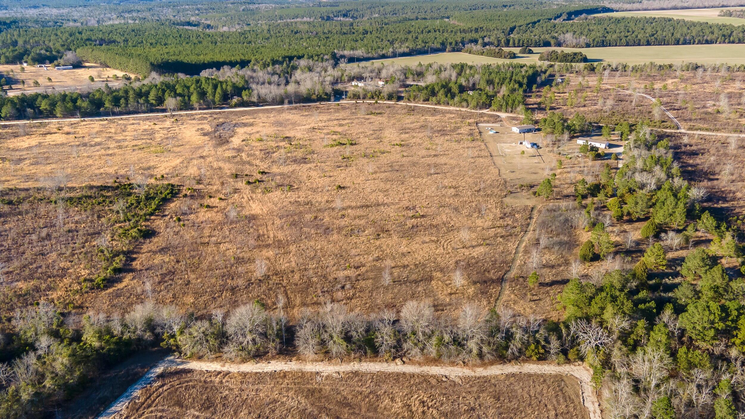 Lot 4 Old Shoals Road Monetta, SC 29105 - Photo 2 of 18