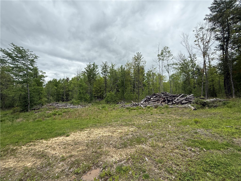 Hawley Road Bradford, NY 14815 - Photo 33 of 42