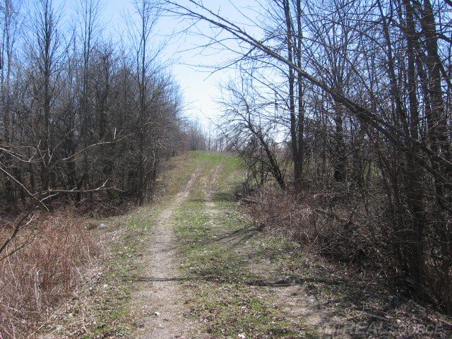 Vl Townsend Applegate, MI 48401 - Photo 15 of 31