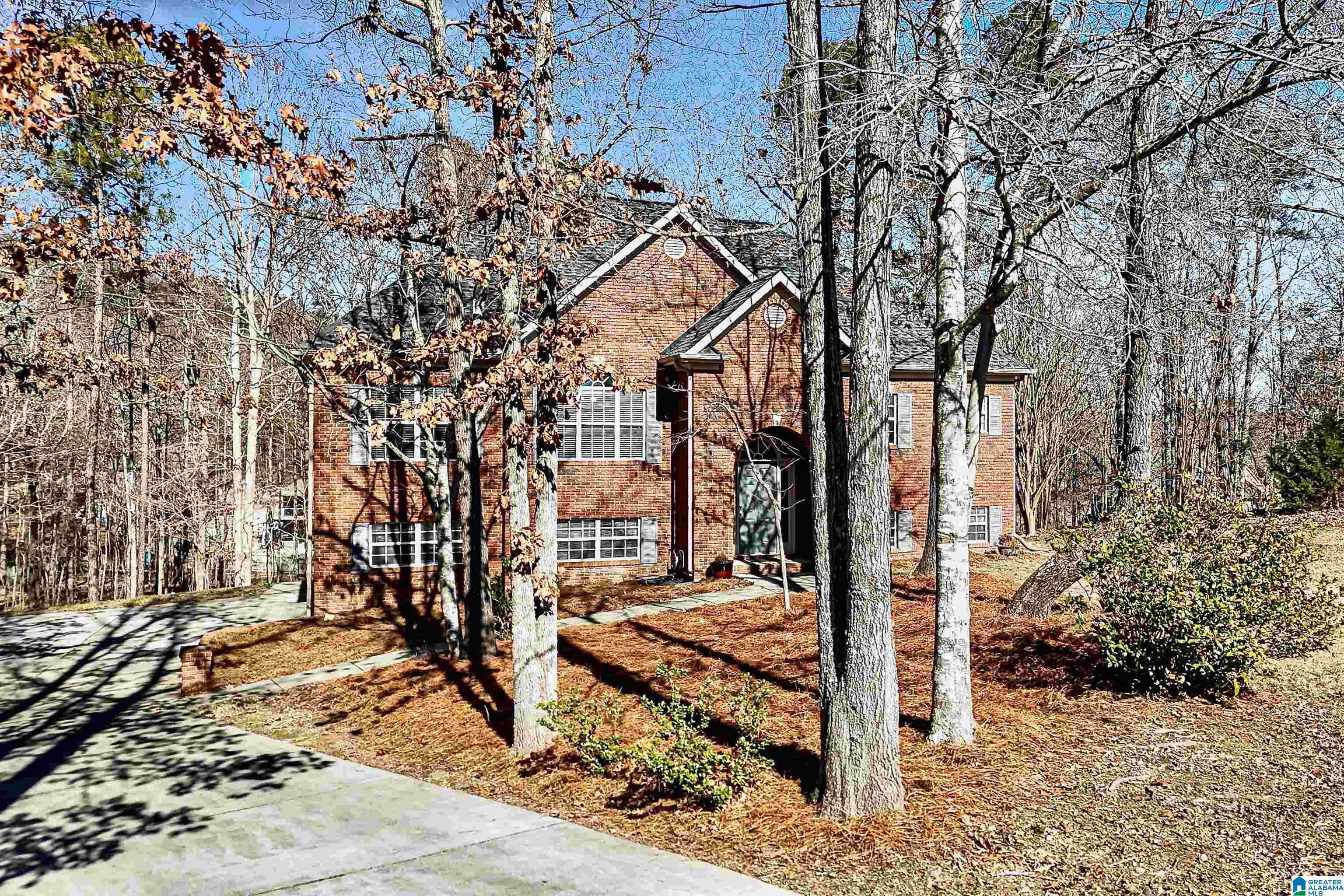 100 Magnolia Ridge Circle Chelsea, AL 35043 - Photo 3 of 51