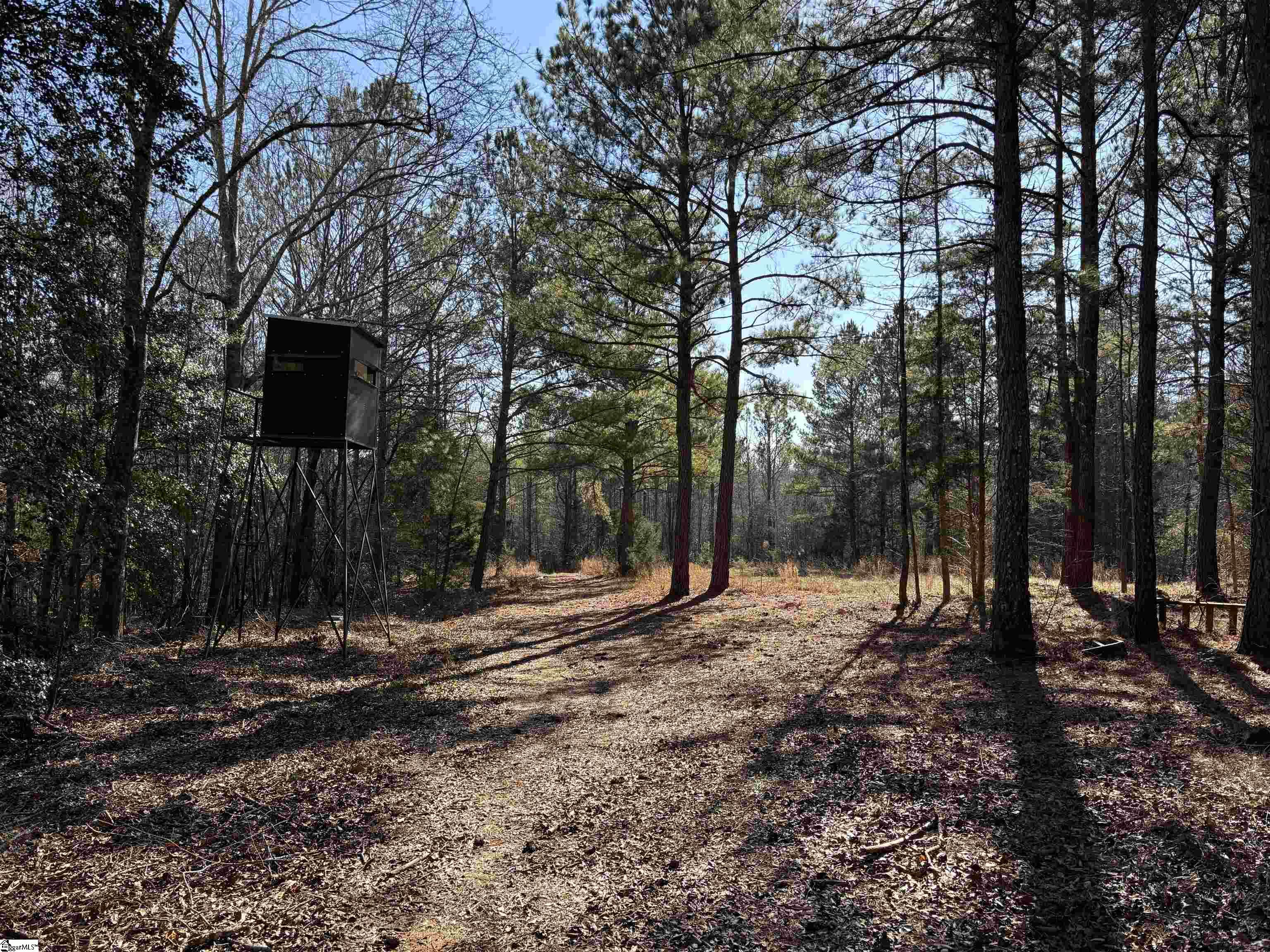 137 Wright School Road Belton, SC 29627 - Photo 45 of 47
