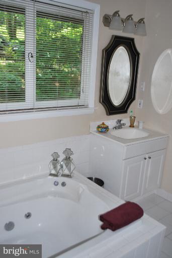 3020 Powder Mill Road Hyattsville, MD 20783 - Photo 3 of 30 Jacuzzi Tub