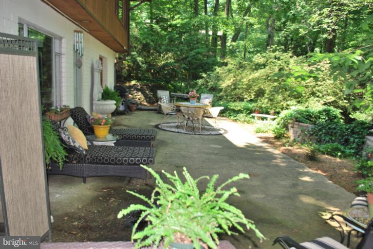 3020 Powder Mill Road Hyattsville, MD 20783 - Photo 25 of 30 Patio