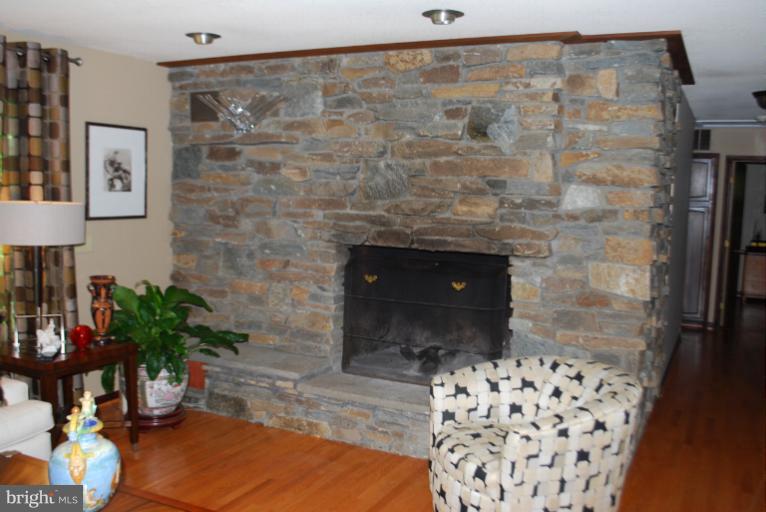 3020 Powder Mill Road Hyattsville, MD 20783 - Photo 27 of 30 River rock stone fireplace