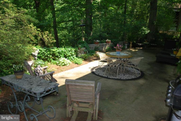 3020 Powder Mill Road Hyattsville, MD 20783 - Photo 8 of 30 Patio