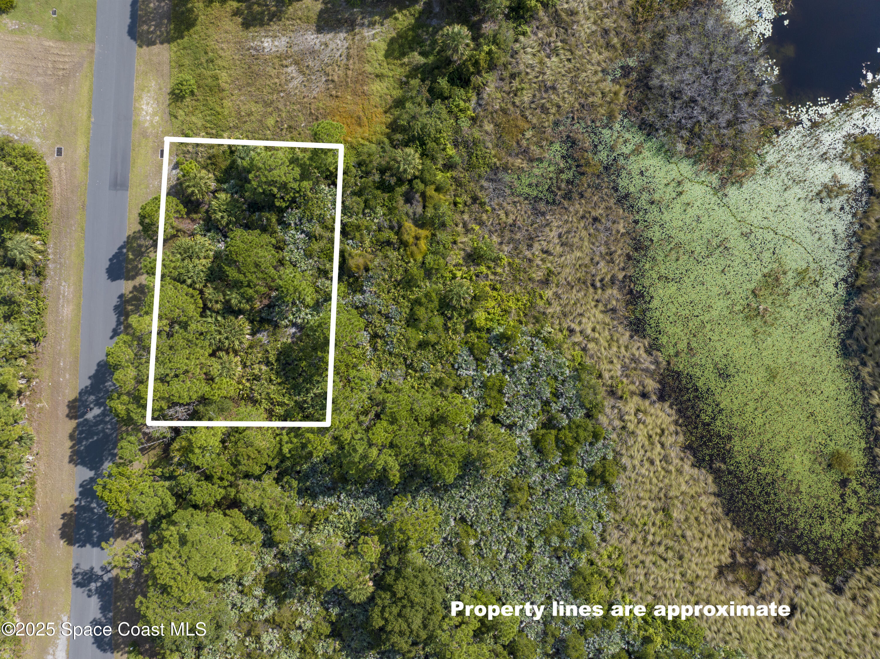 0 11th Street Sebastian, FL 32976 - Photo 3 of 8 a view of a backyard