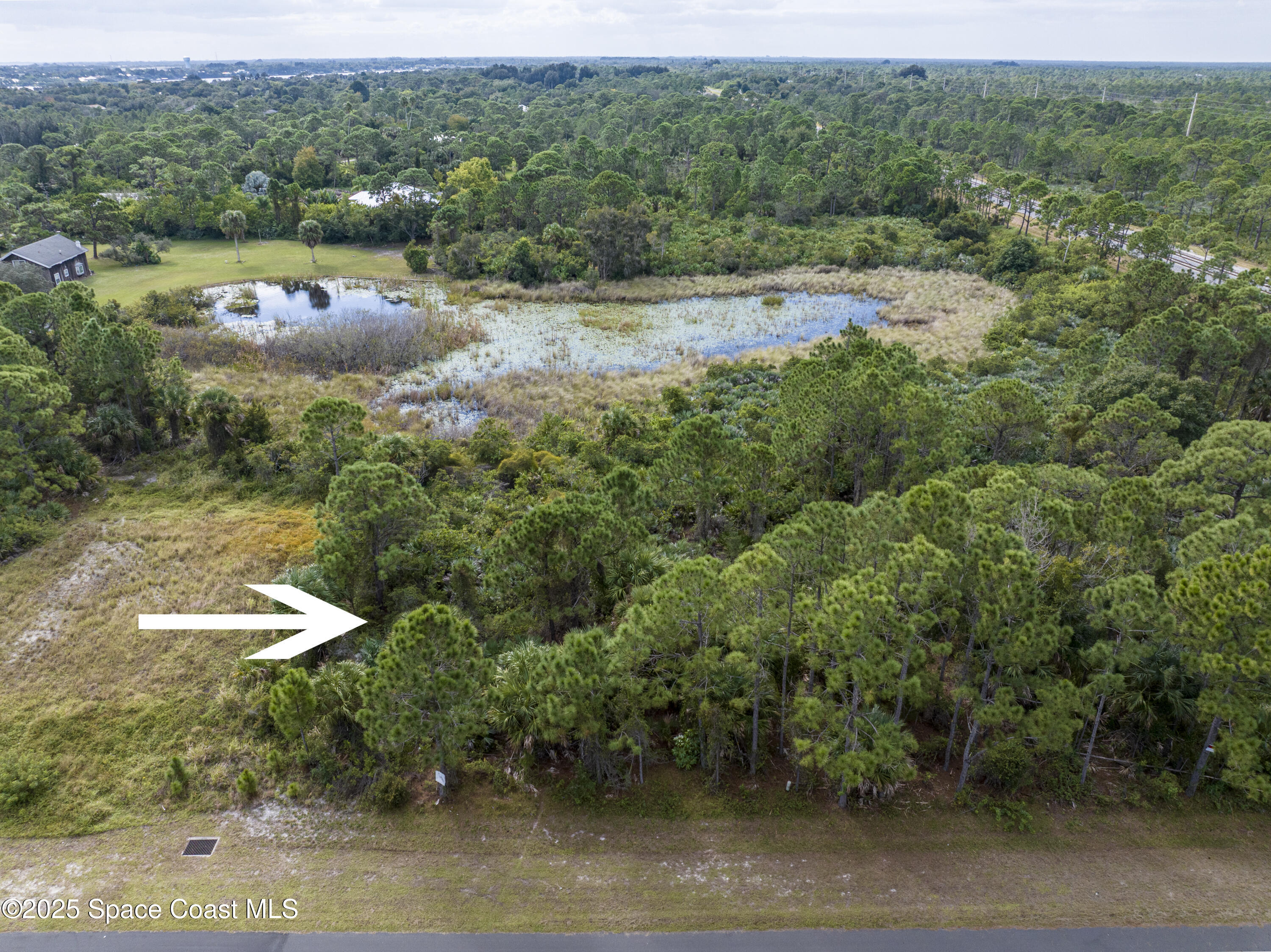 0 11th Street Sebastian, FL 32976 - Photo 6 of 8 a view of outdoor space and yard