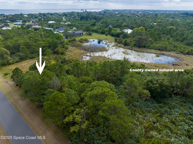 a view of a garden with a lake