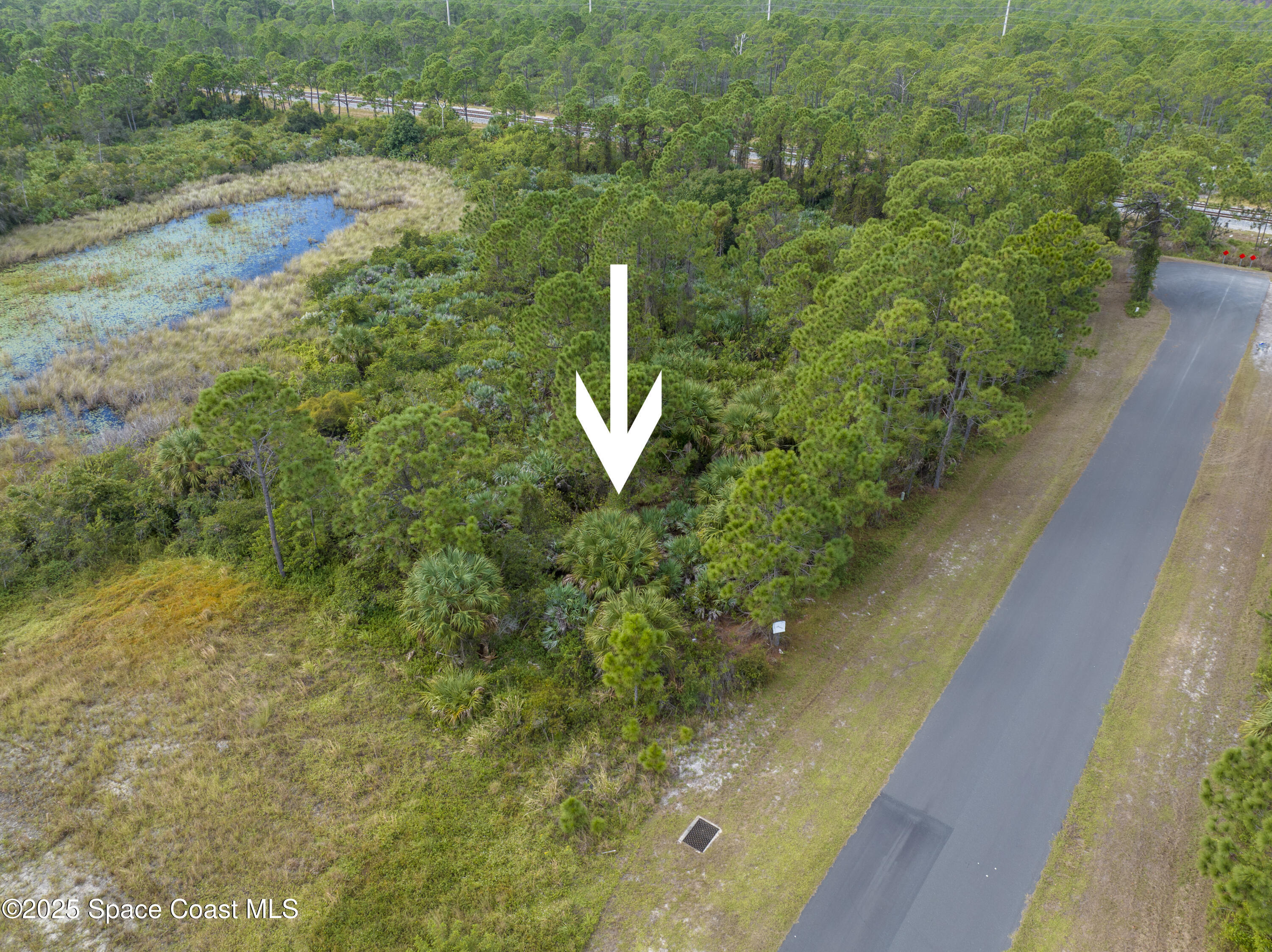 0 11th Street Sebastian, FL 32976 - Photo 8 of 8 a view of a garden with a lake