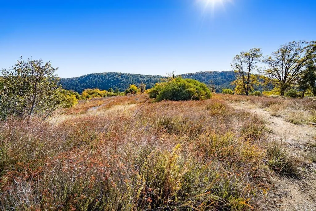 0 State Park Road Palomar Mountain, CA 92060 - Photo 8 of 33 a view of a dry yard with and trees