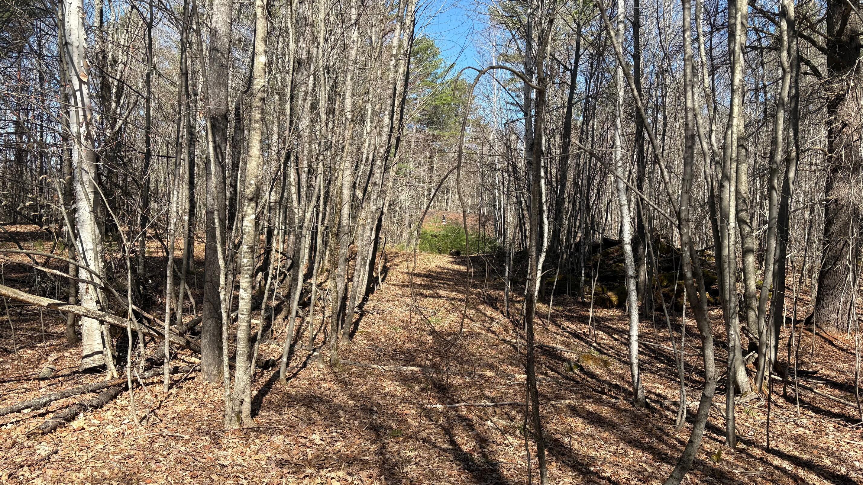 13 Mayhew Road Starks, ME 04911 - Photo 21 of 28