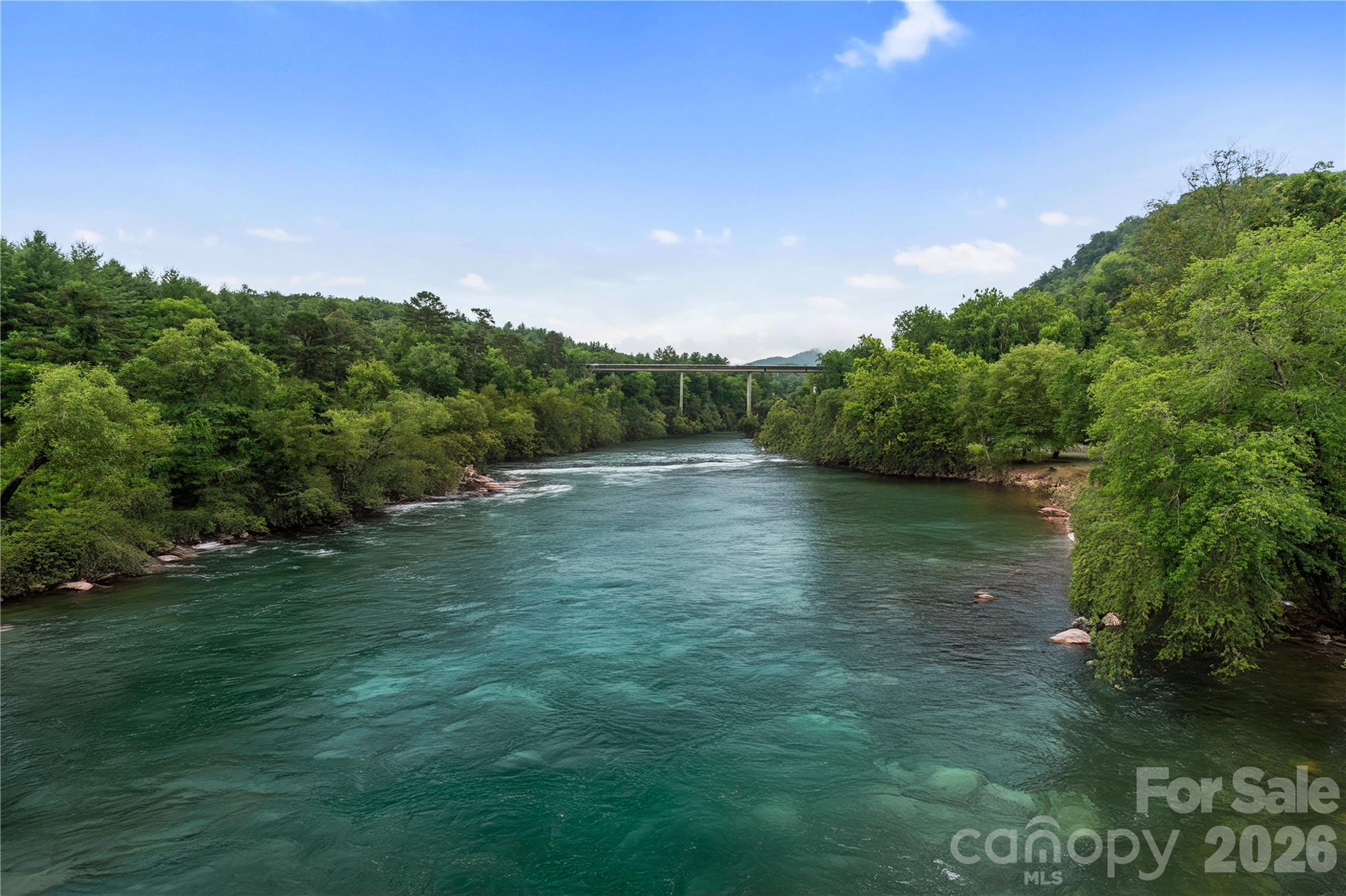 10 Heartleaf Circle Arden, NC 28704 - Photo 43 of 44