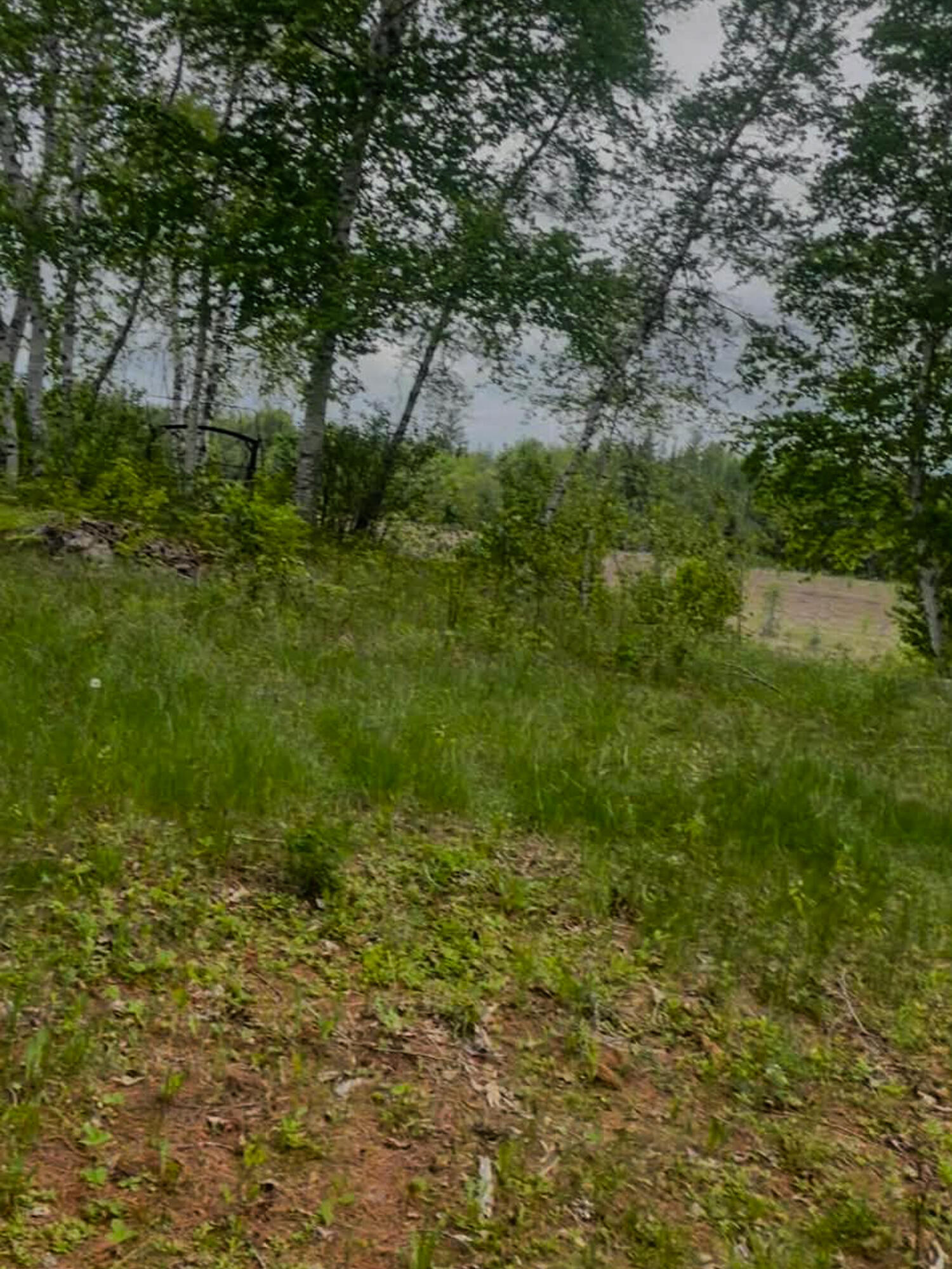 4422 Bennoch Road Alton, ME 04468 - Photo 3 of 11 26 Old County 7 Fox Run -4