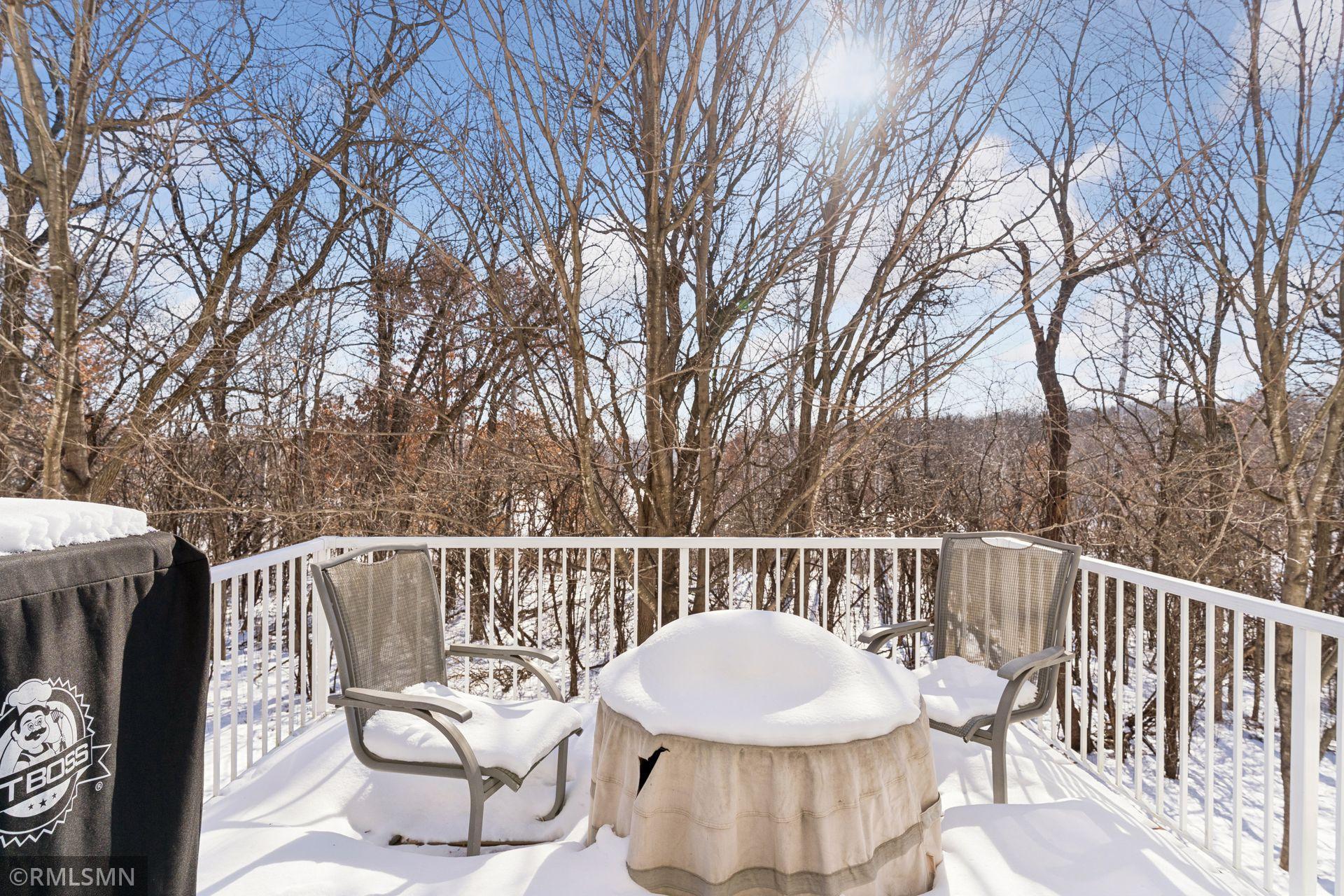 3348 137th Street West Rosemount, MN 55068 - Photo 21 of 50