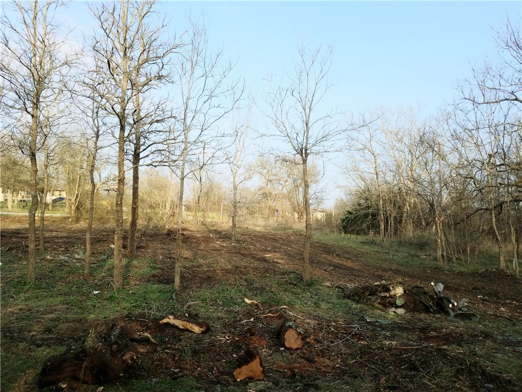 Tbd Avis Road Dale, TX 78616 - Photo 1 of 1 a view of a yard with large trees