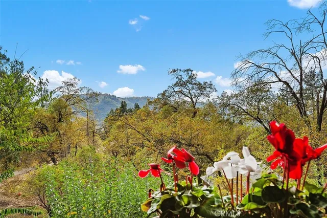 an empty room with a empty space and windows