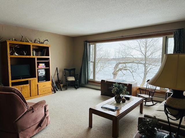 691 Brophy Shores Road Northwest Alexandria, MN 56308 - Photo 13 of 44