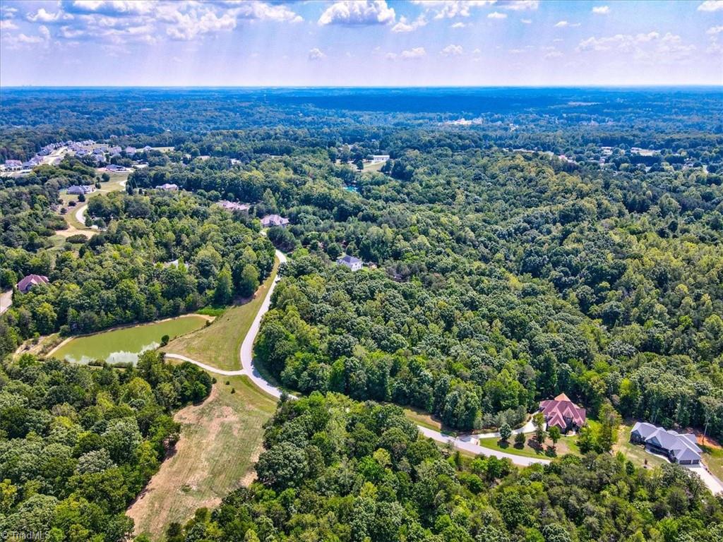 7335 Hidden View Drive Oak Ridge, NC 27310 - Photo 6 of 15 Gallery Image 6