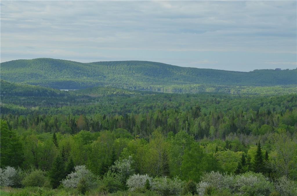 0 Graham Road Smyrna Mills, ME 04780 - Photo 11 of 14 Maine Land for Sale in Smyrna