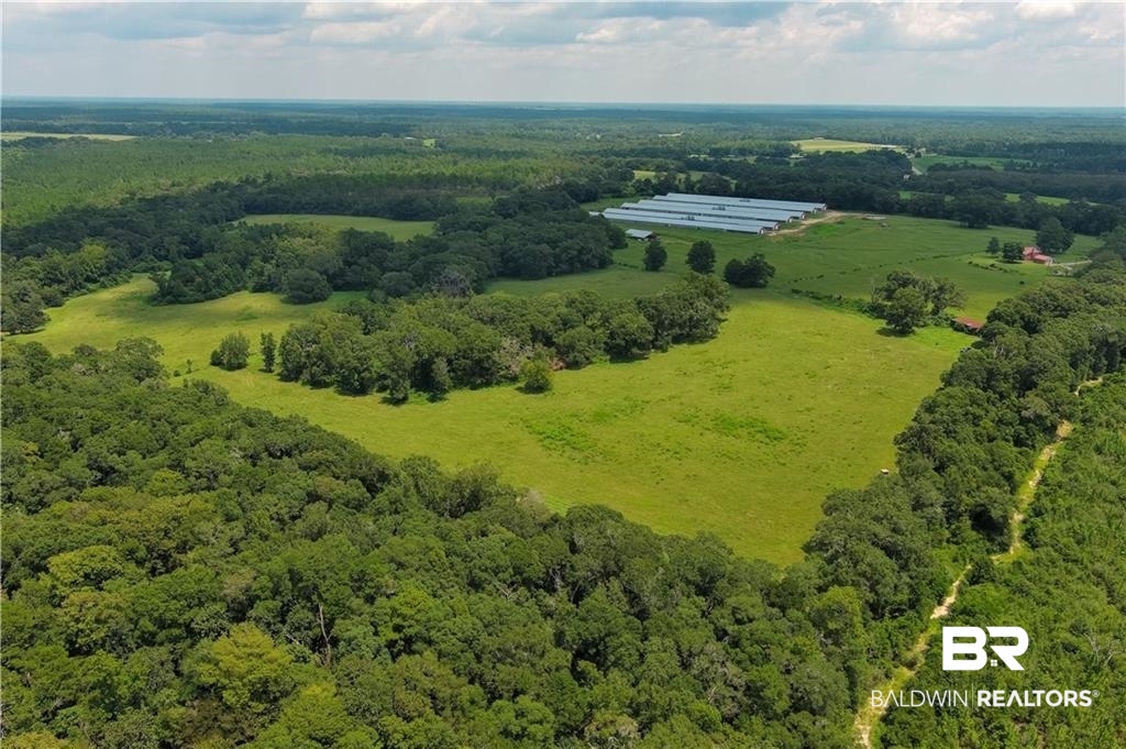 0 Circle R Farm Drive Florala, AL 36442 - Photo 3 of 25