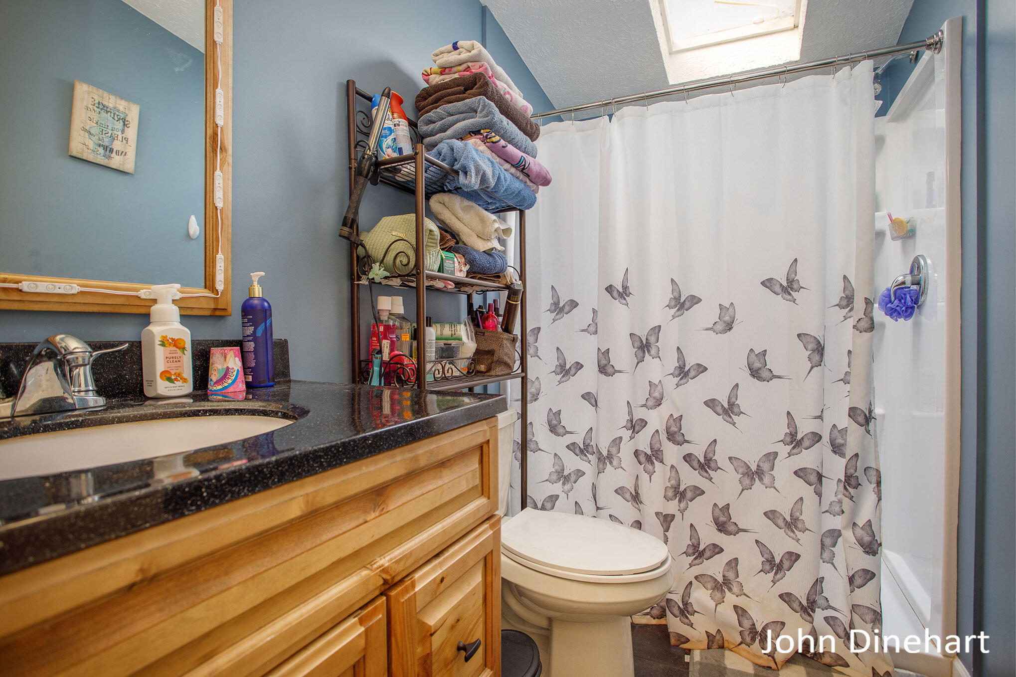2964 Morgan Road Nashville, MI 49073 - Photo 14 of 24 DNG-19