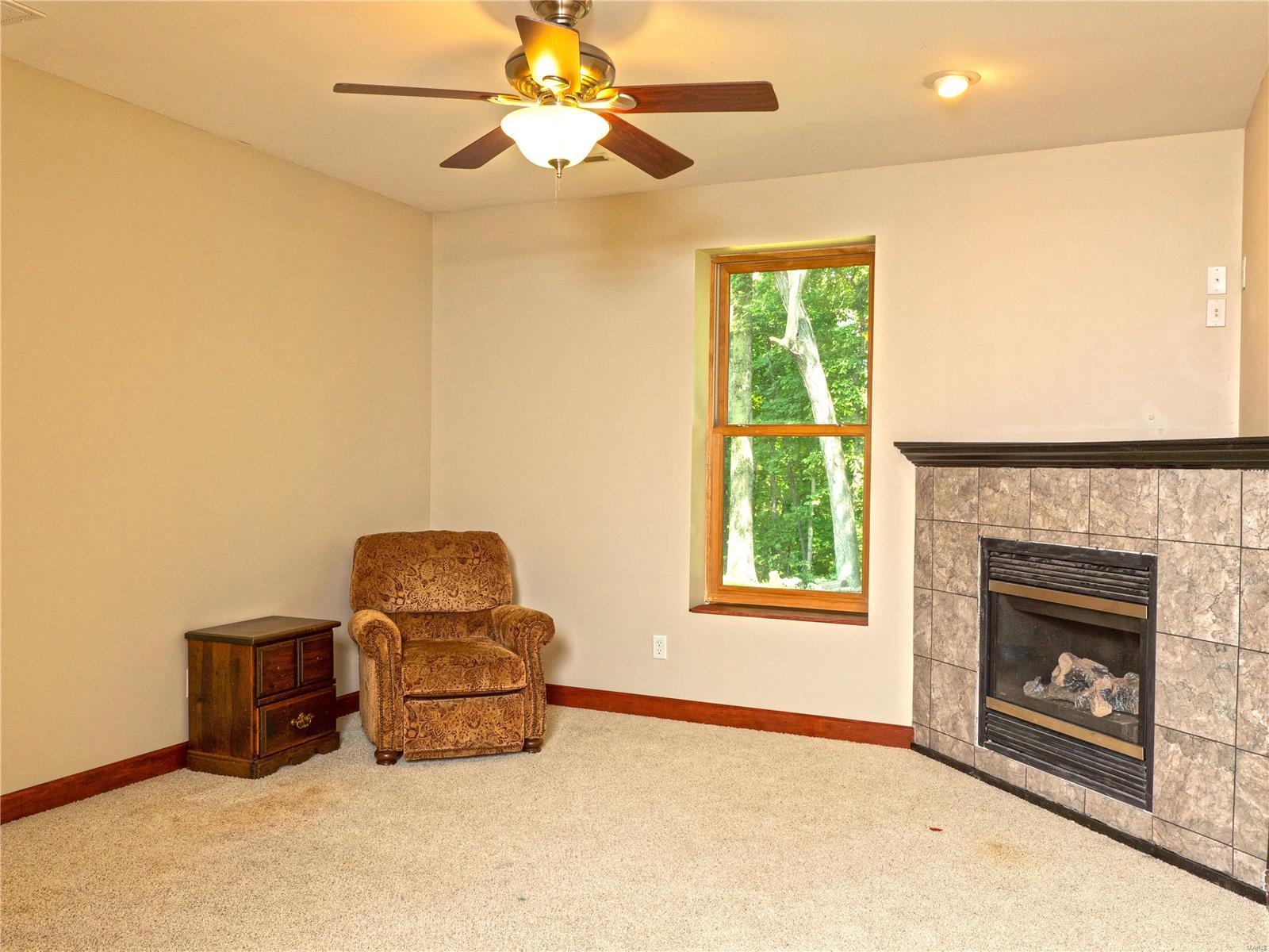 206 Stonehill Ridge Valmeyer, IL 62295 - Photo 28 of 45
