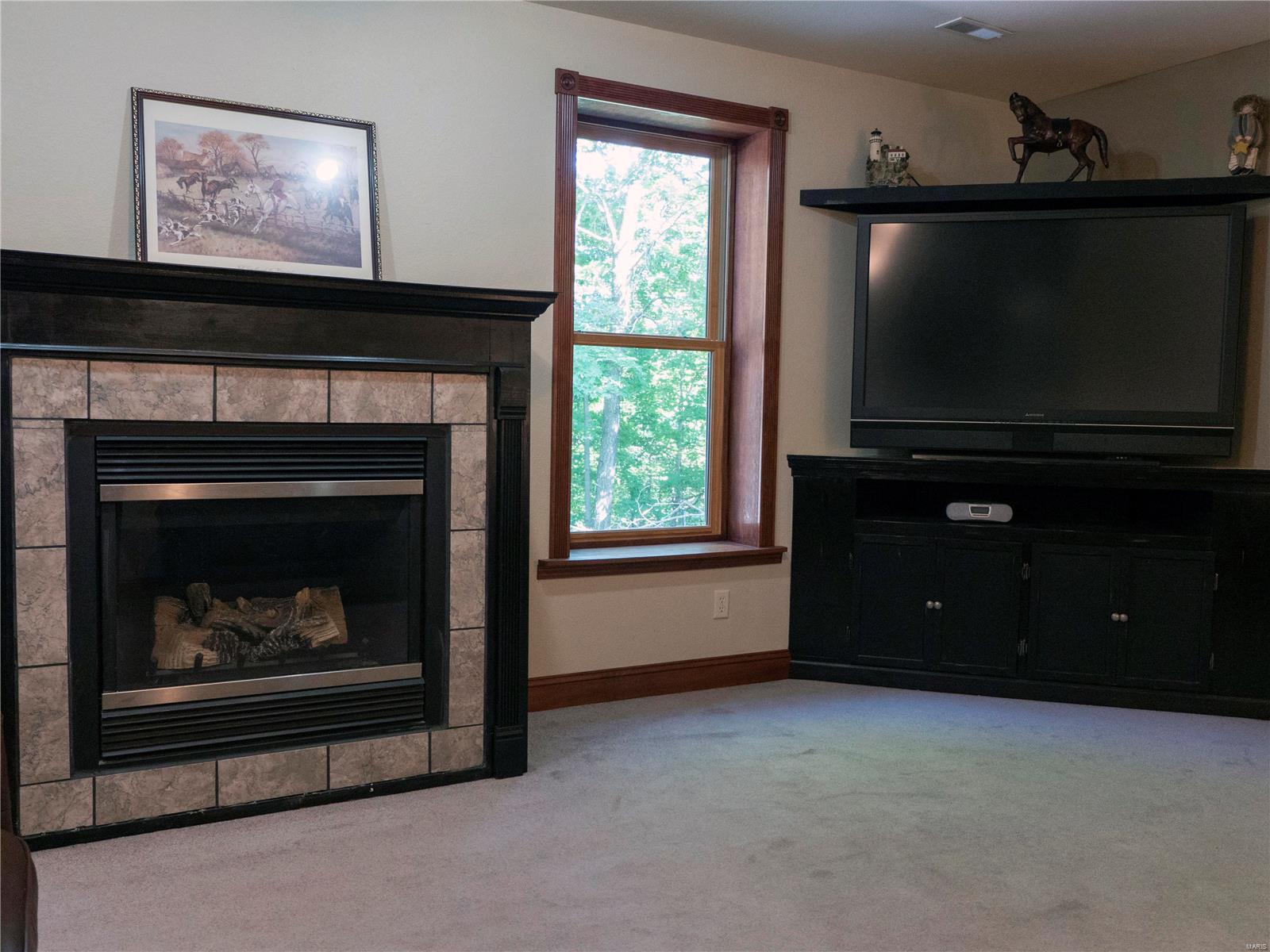206 Stonehill Ridge Valmeyer, IL 62295 - Photo 40 of 45