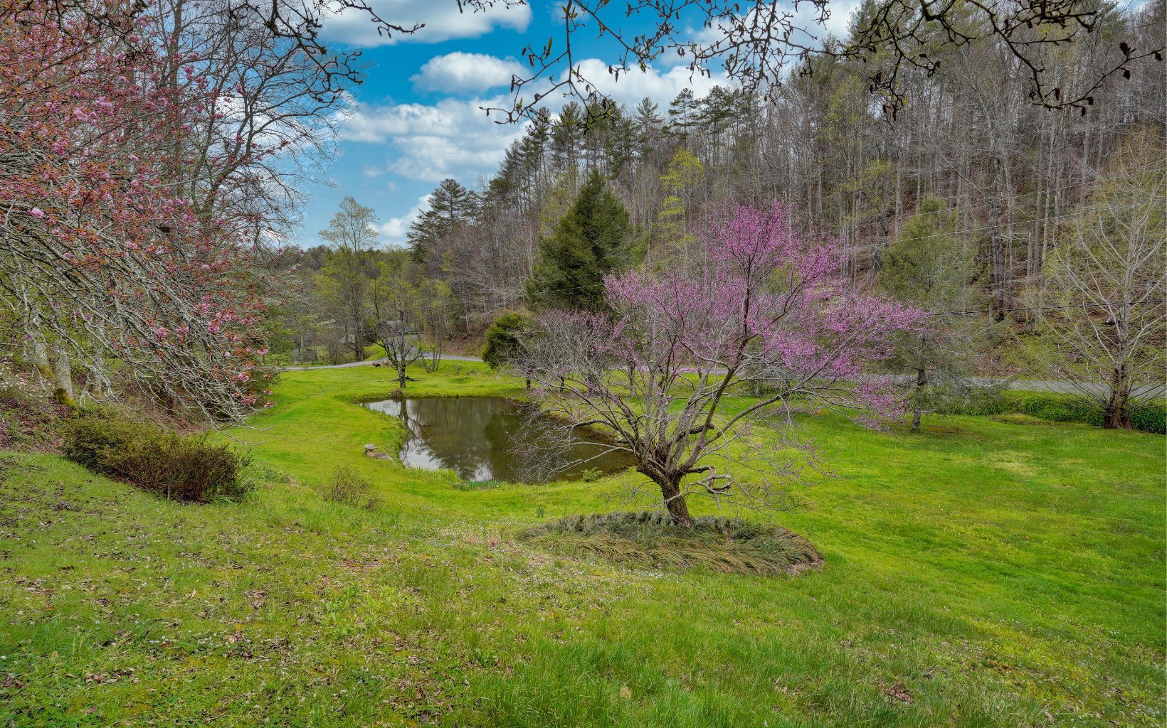 3407 Gates Chapel Road Ellijay, GA 30540 - Photo 3 of 4 Additional View