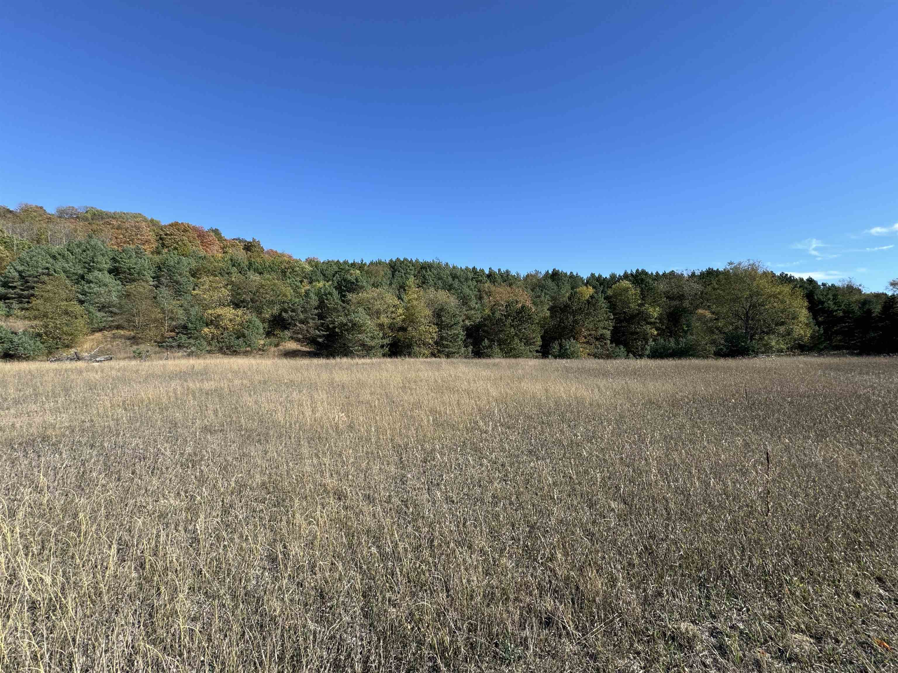 8335 South Tremain Road Maple City, MI 49664 - Photo 8 of 30