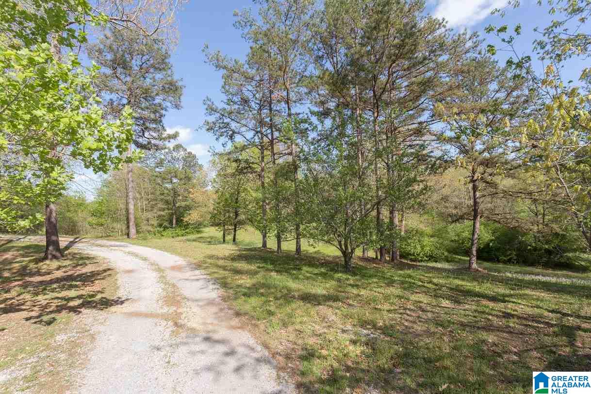 2172 Ross Lake Road Wellington, AL 36279 - Photo 36 of 45