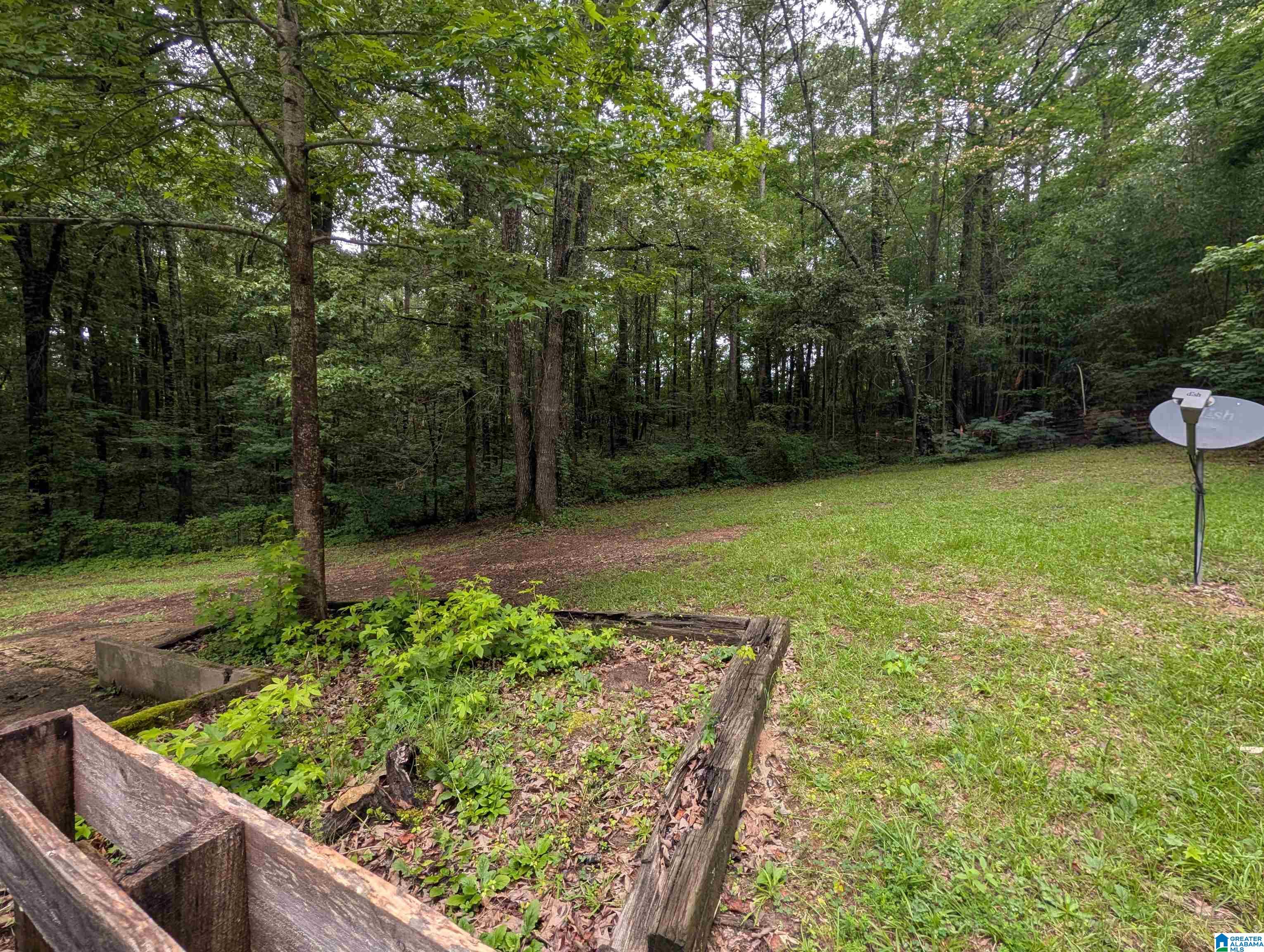 3215 Piney Woods Road Vincent, AL 35178 - Photo 15 of 15