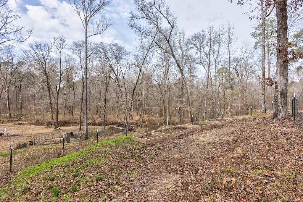 5376 Old Washington Road Evans, GA 30809 - Photo 54 of 72