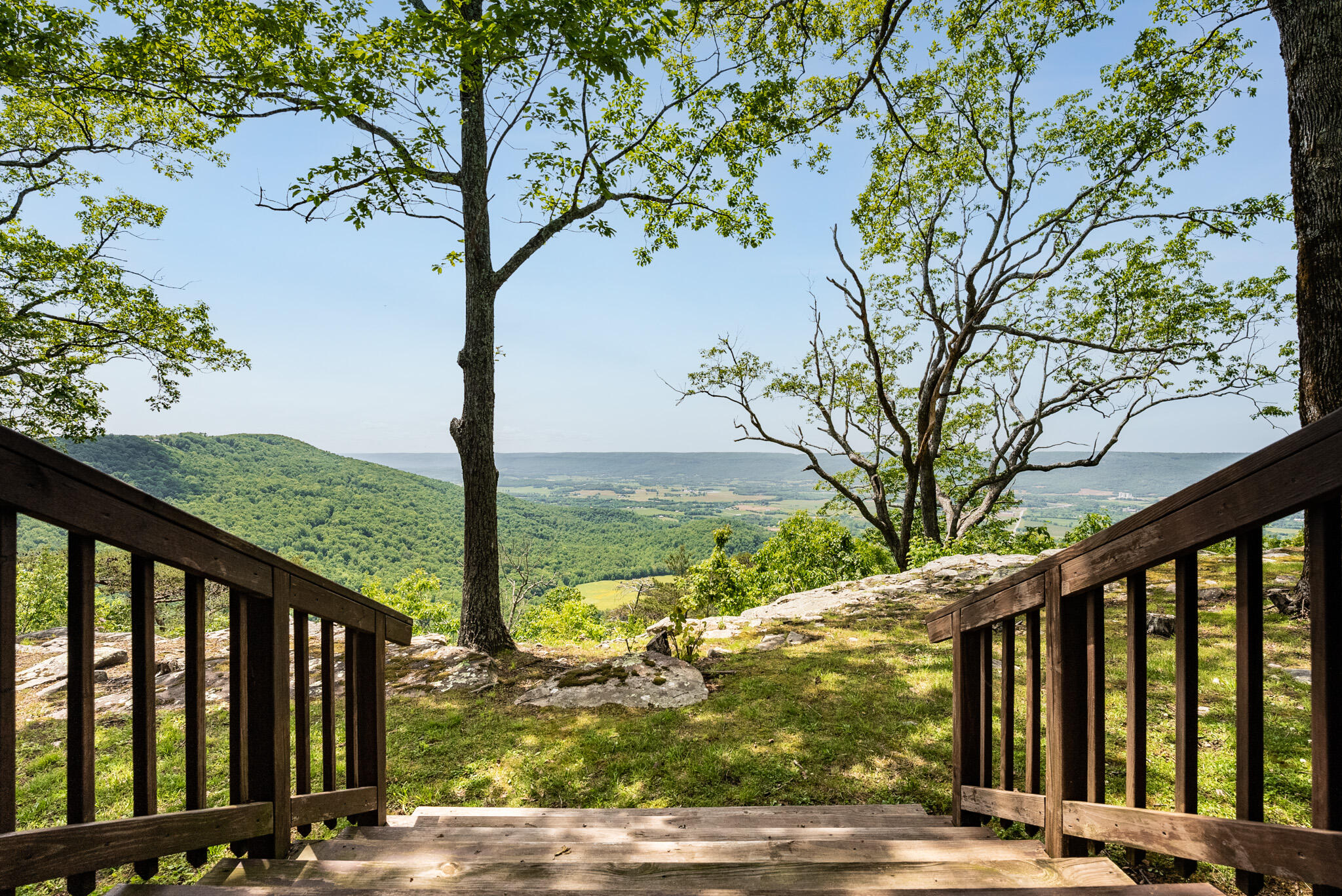 370 Blackburn Road Pikeville, TN 37367 - Photo 17 of 31 Photo-Web-15