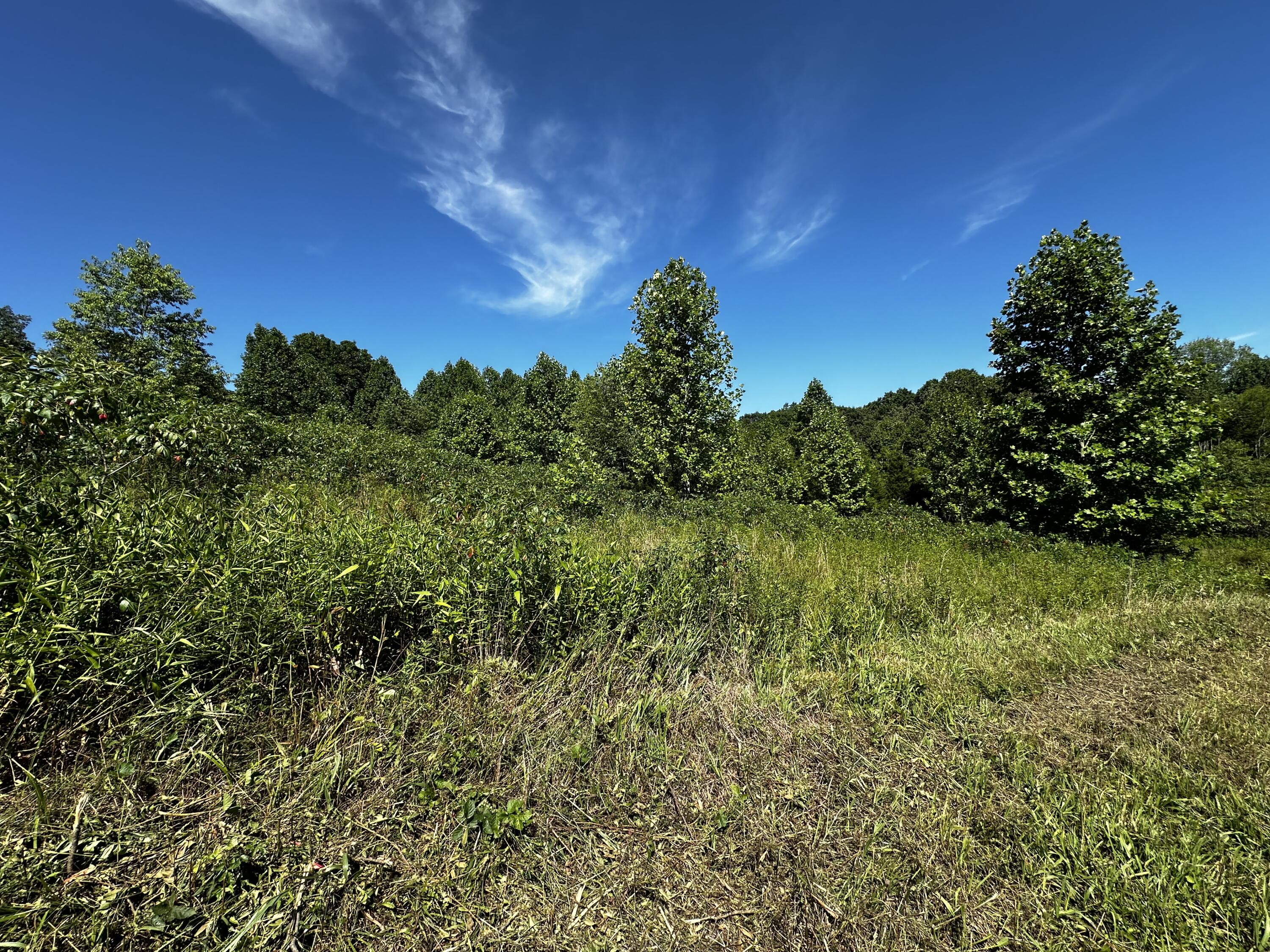 840 New Fox Road Irvine, KY 40336 - Photo 19 of 84 IMG_0133