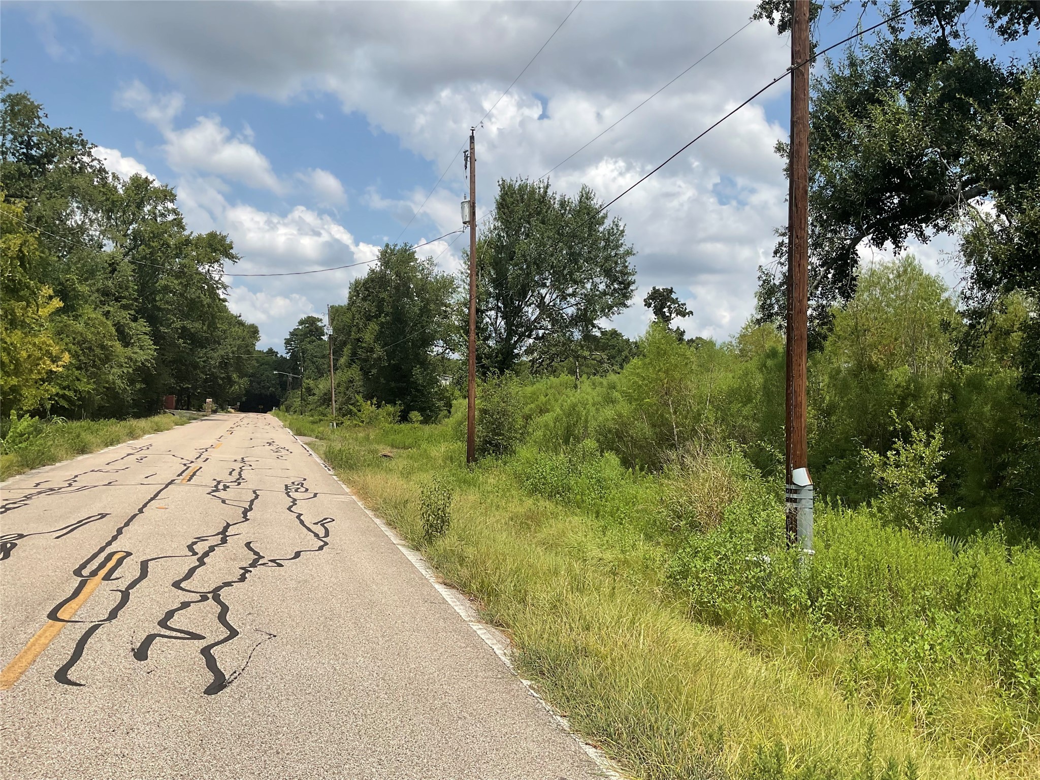 18318 Mossforest Drive Houston, TX 77090 - Photo 2 of 11 a view of a yard