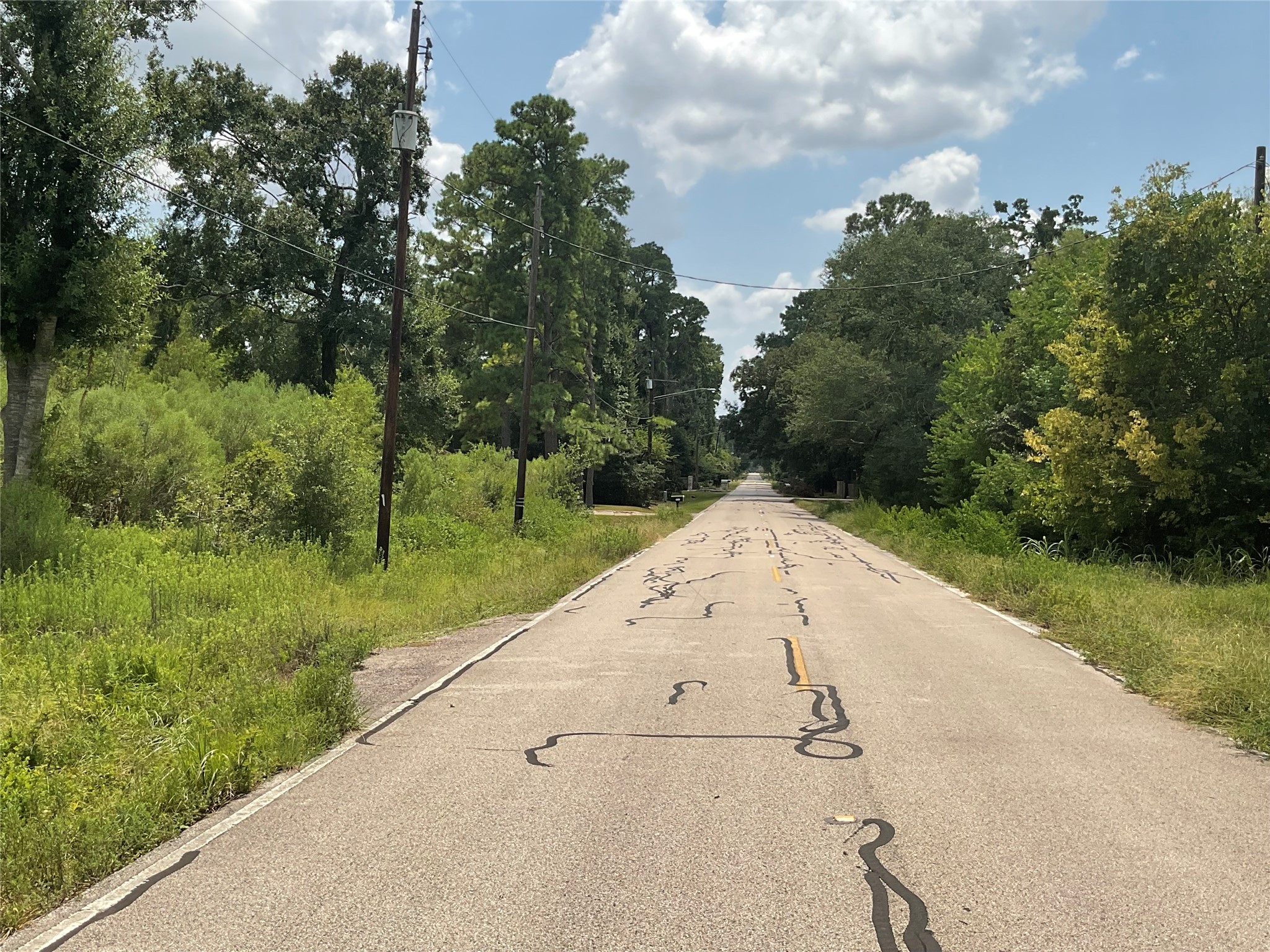 18318 Mossforest Drive Houston, TX 77090 - Photo 3 of 11 a view of a backyard