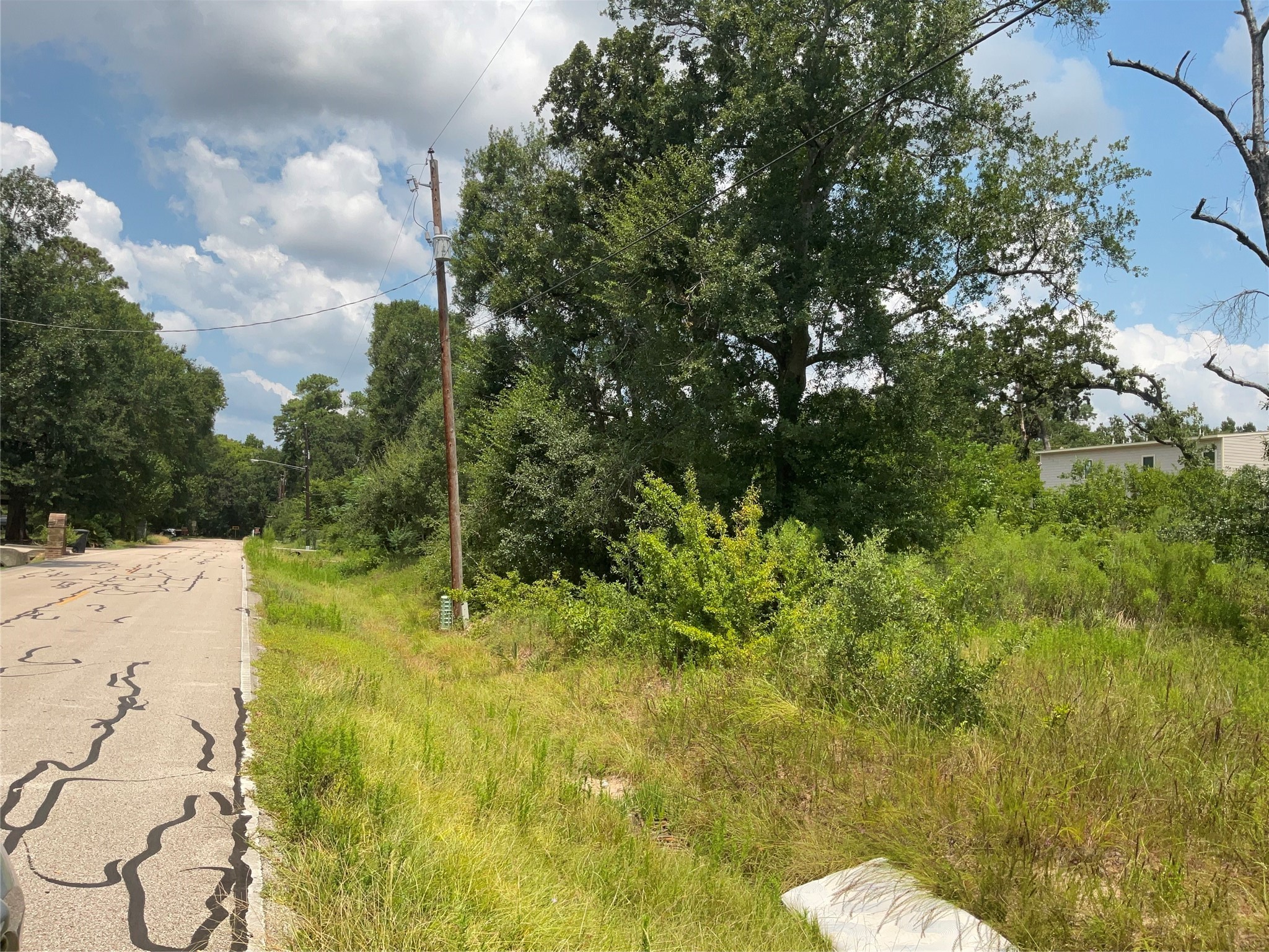 18318 Mossforest Drive Houston, TX 77090 - Photo 6 of 11 a view of a swimming pool with a yard
